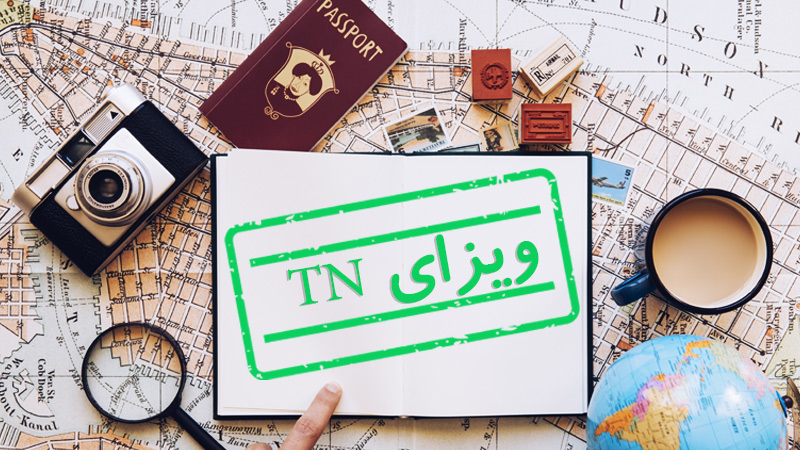 ویزای TN چیست؟(شرایط اخذ و قوانین) (TN visa)